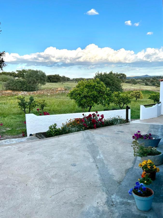 Casa Da Cerca Lejlighed Corte do Pinto Eksteriør billede